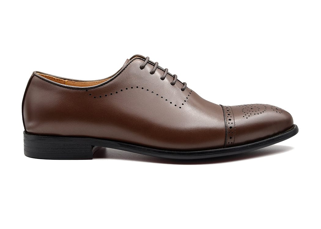 BENEDICT | Coffee Cap Toe Oxfords